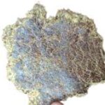 गाई म्हशींच्या खाद्याचे भाव आणि वजन हे शेतकरी राजावर लादले जाते . 